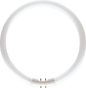 philips som 16x295mm 2gx13 hvid - 830 40w cirkelrr tl5