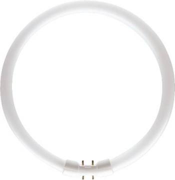 philips som 16x295mm 2gx13 hvid kold - 840 40w cirkelrr tl5