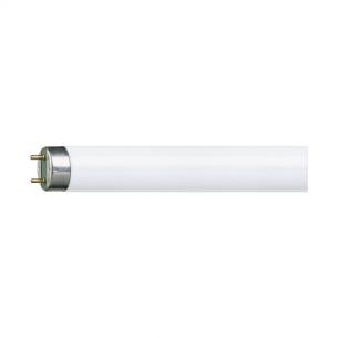26x1200mm hvid kold 840 36w tl-d lysstofrr philips