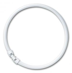 osram som 16x220mm 2gx13 hvid - 830 22w fc cirkelrr t5