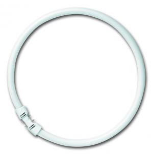 osram som 16x220mm 2gx13 hvid dagslys - 865 22w fc cirkelrr t5