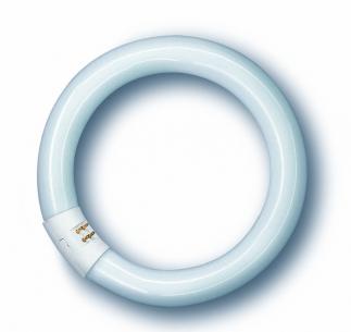 cirkelrr g10q 21-840 40w osram