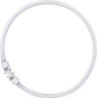 osram som 16x295mm 2gx13 hvid dagslys - 865 55w fc cirkelrr t5