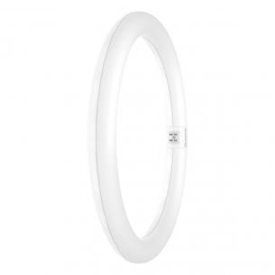 em 230v 32w 840 3w 18 2200lm g10q cirkulr value t9 led-rr ledvance