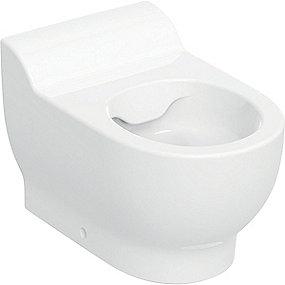 53cm t toiletsdehuller uden rimfree brn til toilet gulvstende bambini geberit
