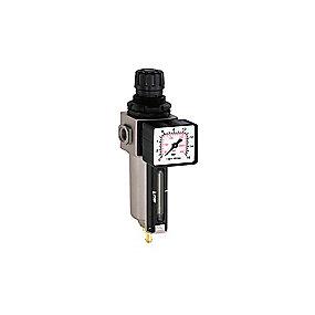 min liter 1100 - bar 6 manometer og reduktionsventil med vandudskiller flair
