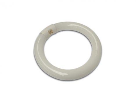 210mm sokkel g10q t9 cirkulr 22w - lysstofrr