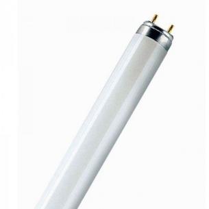 g13 white cool lumilux 840 30w l t8 osram