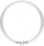 philips som ø16x220mm 2gx13 hvid - 830 22w cirkelrør tl5