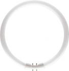 philips som ø16x295mm 2gx13 hvid kold - 840 40w cirkelrør tl5