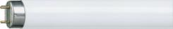 26x1200mm standard hvid kold 33 36w tl-d lysstofrr philips