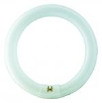26x300mm g10q 840 32w tl-e cirkelrr philips