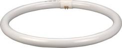 cirkelrr g10q 20-640 22w osram