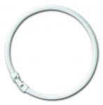 osram som ø16x220mm 2gx13 hvid dagslys - 865 22w fc cirkelrør t5