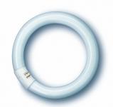 cirkelrr g10q 21-840 40w osram