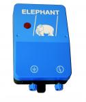 kohsel el-hegn 230v m1 mini elephant