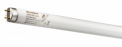 26x590mm dagslys 865 18w lysstofrr sylvania