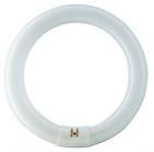 26x400mm g10q 29 40w tl-e cirkelrr philips