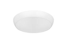 whi dali 2200lm 830 22w plus evo tauro