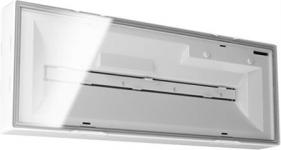 3t flat panik ledi 20 elx