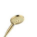 guld-optik poleret 3jet håndbruser 120 s select rd hansgrohe