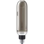 dmpbar smoky 1800k t65 e27 20w 5w 6 giant led philips