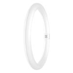 em 230v 32w 840 3w 18 2200lm g10q cirkulr value t9 led-rr ledvance