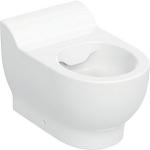 53cm t toiletsædehuller uden rimfree børn til toilet gulvstående bambini geberit