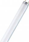 1500mm sps natura 76 58w splintfri slagterrr osram